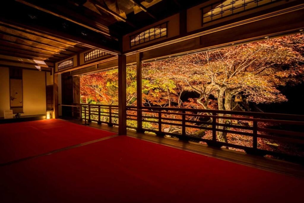 🏯 개운산 주호지(주호지) 이미지 4